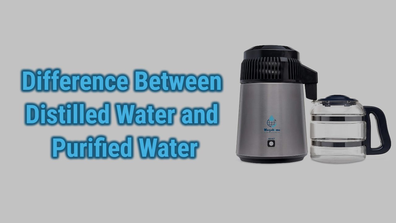 Distilled Vs Purified Water | Difference Explained